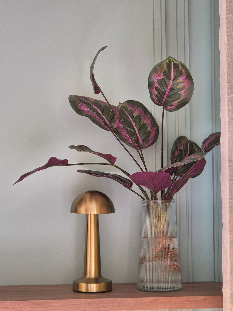 Domingos Vila Mariana Nine